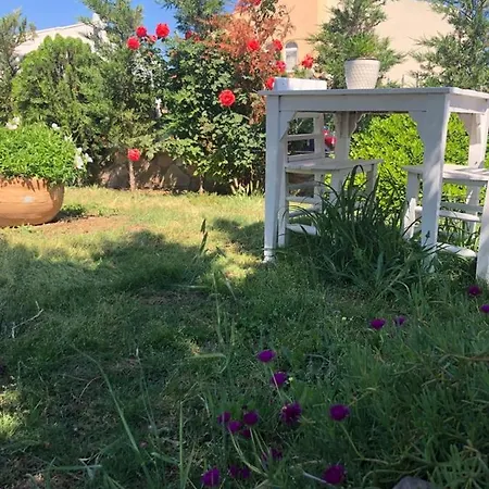 Zeyna Cunda Ayvalı